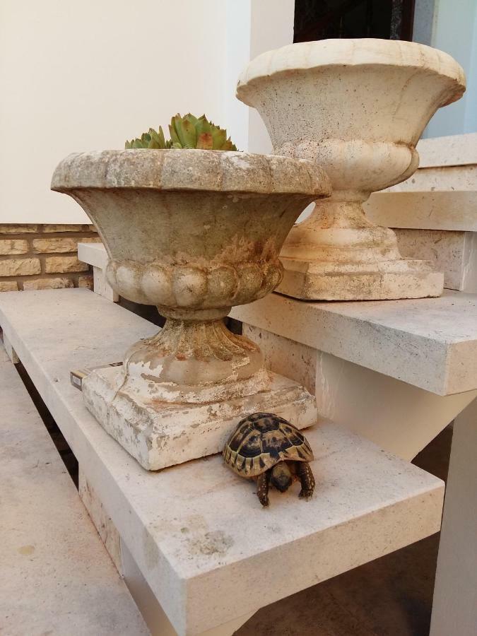 Villa Feodora Biograd Na Moru Luaran gambar